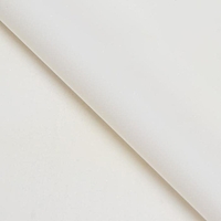Пленка для цветов "Золотая полоса", белый, 58 х 58 см