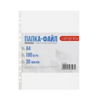 Файл-вкладыш А4, 30 мкм, Calligrata "Премиум", глянцевый, в упаковке 100 штук