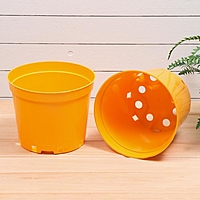 Горшок для рассады (круглый), 5 л, d= 22 x 18 см, желтый "Greengo"