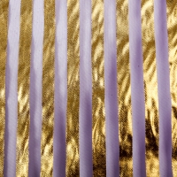 Органза "Золотая полоса", цвет фиолетовый
