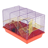 Клетка для грызунов "Венеция -комплект"  (колесо+домик), 36 х 24 х 27 см
