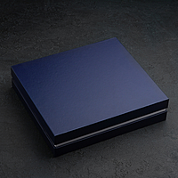 Набор столовый "Торжество" в декоративной коробке, 24 предмета, толщина 2 мм, цвета МИКС