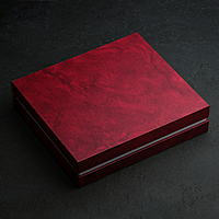 Набор столовый "Торжество" в декоративной коробке, 24 предмета, толщина 2 мм, цвета МИКС