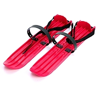 Мини-лыжи большие РТ-2 10090306  МИКС