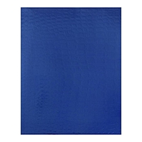 Тетрадь 48 листов в клетку Croco, бумвинил metallic, тиснение, блок офсет, синий