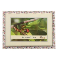 Фоторамка 21х30 см "Розочки"