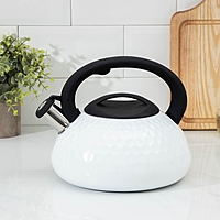 Чайник со свистком 3 л Magistro, Glow, белый, индукция, ручка soft-touch