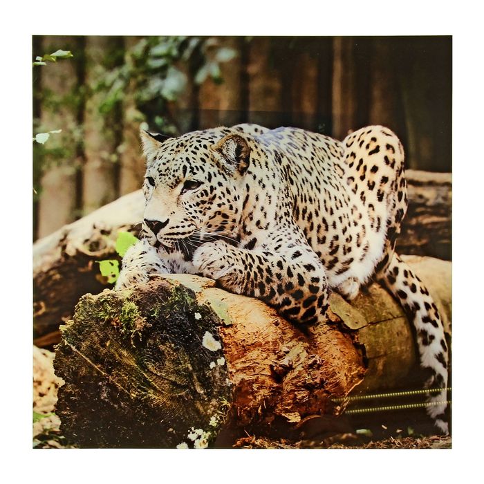 Картина на стекле "Леопард"