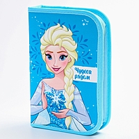 Пенал 1 секция откидной карман и космет 140*210 ткань Холодное сердце