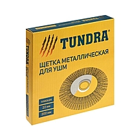 Щетка металлическая для УШМ TUNDRA, плоская, посадка 22 мм, 200 мм