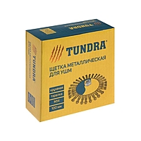 Щетка металлическая для УШМ TUNDRA, крученая проволока, "тарелка", М14, 100 мм