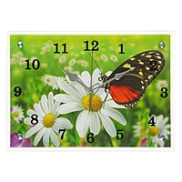 Часы настенные прямоугольные "Бабочка и ромашки", 25х35 см  микс