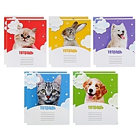 Компл тетр из 10 шт, 12л кл "Домашние животные", обл мел карт, ВД лак, бл офс, 5вид*2шт