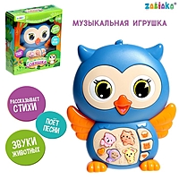 ZABIAKA Музыкальная игрушка "Музыкальная совушка" SL-05458A