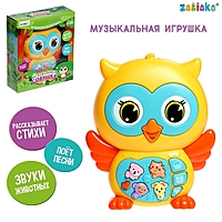 ZABIAKA Музыкальная игрушка "Музыкальная совушка" SL-05458B