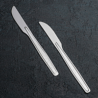 Нож столовый 19,3 см "Силуэт", упрощенная обработка, толщина 1 мм