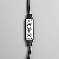 Гирлянда "Конский хвост" 10 нитей по 1 м , IP20, серебристая нить, 100 LED, свечение белое, 8 режимов, 12 В