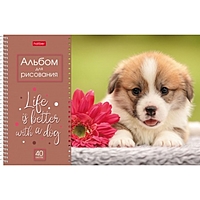 Альбом для рисования А4, 40 листов на гребне Doggie-щенки, обложка мелованный картон, блок 100 г/м2, МИКС