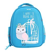 Рюкзак каркасный 36 х 28 х 17 см, + пенал, Bruno Visconti "CUTE OWLS. КОКЕТКА", бирюзовый