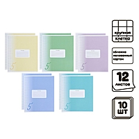 Компл тетр 10 шт 12л круп кл Пятерка, обл мел карт, ВД лак, бл офс 5 вид (4846024)