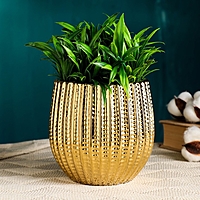 Кашпо "Кактус" 14х12х12см