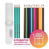 Карандаши 12 цветов Calligrata, ЭКОНОМ, заточенные, шестигранные, пластиковые, пенал-тубус и 3 чернографитных карандаша с ластиком в ПОДАРОК