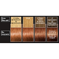Краска для волос L'Oreal Preference, 7.43, "Шангрила", 174 мл