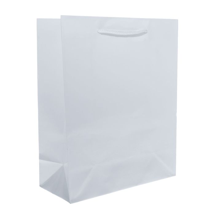 пакет подарочный белый. пакет бумажный белый. пакет 25х35х9 белый. большие подарочные пакеты 50х70. пакет подарочный белый.