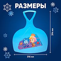 Ледянка Фиксики Соломон