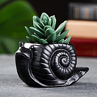 Кашпо "Улитка" черный, 6х11х6см
