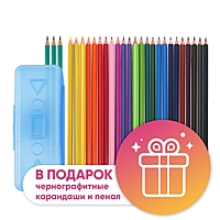 Карандаши 24 цвета Calligrata, ЭКОНОМ, заточенные, шестигранные, пластиковые, пенал-футляр и 3 чернографитных карандаша с ластиком в ПОДАРОК
