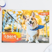 Альбом для рисования на скрепке, 40 листов "Корги"