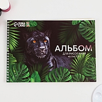 Альбом для рисования на гребне, 40 листов "Пантера"