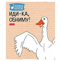 Тетрадь 48 листов в клетку "Гусь-веселюсь №2", обложка мелованный картон, скругленные углы, 5В, Микс