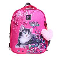Рюкзак каркасный школьный 38 х 30 х 16 см, эргономичная спинка, Stavia My cat
