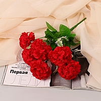 Букет "Гортензия премиум" 7х26 см, микс