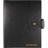 Дневник универсальный для 1-11 класса Favourite. Black, мягкая обложка, искусственная кожа, тиснение фольгой, ляссе, 80 г/м2