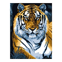 Картина по номерам на картоне 28,5 × 38 см «Властелин тайги»