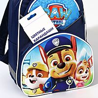 Рюкзак школьный с эргономической спинкой, 37х26х15 см, Щенячий патруль