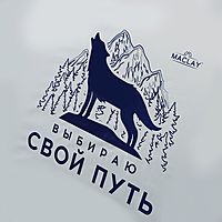Палатка треккинговая Maclay «Свой путь», р. 200х150х105 см, 2-местная