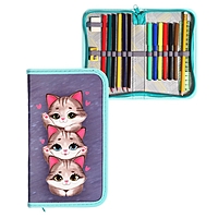 Пенал 1 секция 115*205 наполн. лам.карт 30П26/set Calligrata 16предм дев "Котики"