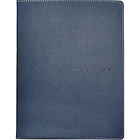 Дневник универсальный для 1-11 класса Blue, мягкая обложка, искусственная кожа, термо тиснение, ляссе, 80 г/м2
