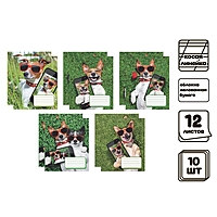 Компл тетр из 10шт 12л кос лин СелфиDOG, обл мел бум, ВД-лак, бл №2 (9492368)