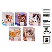 Компл тетр из 10 шт, 18 лин Домашние животные, обл мел карт, ВД лак, блок офсет (3571600)