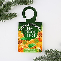 Аромасаше на вешалке «Мандаринового настроения», мандарин, 8 х 15,5 см
