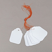 Бирки садовая для маркировки, 6,7 х 5 см, набор 20 шт, пластик, белый, Greengo