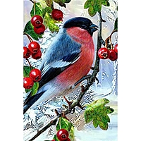 Алмазная мозаика "Зимняя птичка" 20*30 Ah5665