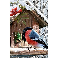 Алмазная мозаика "Зимний гость" 20*30 Ah5648