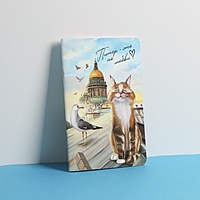 Блокнот софт-тач А5, 48 л "Питер"