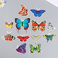 Бабочки картон "Натуральные" набор 12 шт h=4-10 см